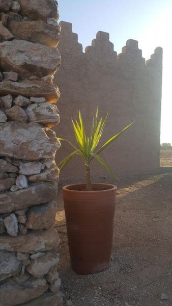 Ksar Montana Hotel, Chambres Piscine Taforhalt 外观 照片